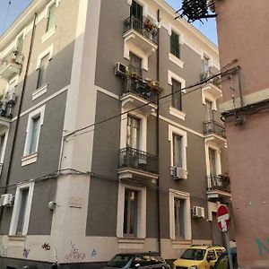 Montello Guest House & Apartment